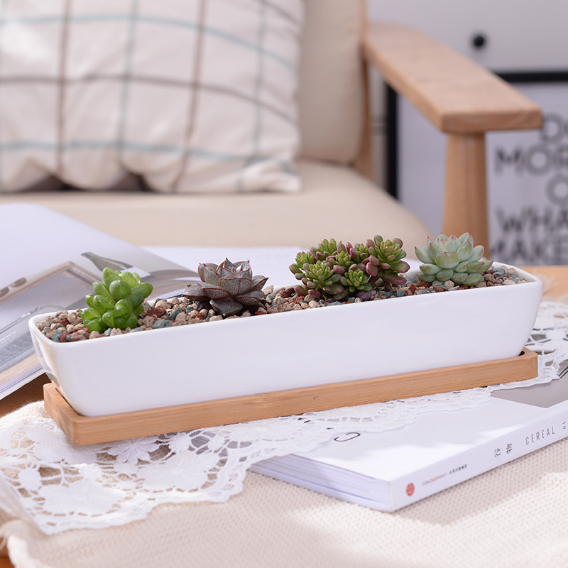 Desktop Organizer Bamboo - ยาวสี่เหลี่ยมผืนผ้าเซรามิคสีขาว Succulent Planter หม้อถาดไม้ไผ่,เซรามิคผู้ถือกระบองเพชร, home Office