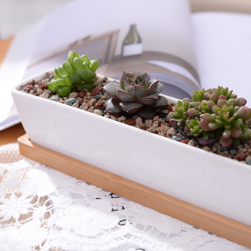ยาวสี่เหลี่ยมผืนผ้าเซรามิคสีขา - Desktop Organizer Bamboo บทวิจารณ์และราคา