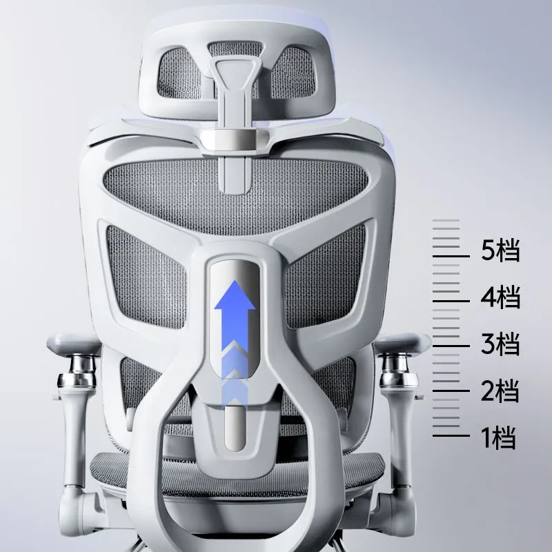 เก้าอี้คอมพิวเตอร์ตามหลักสรีรศ - Home Office Chair บทวิจารณ์และราคา