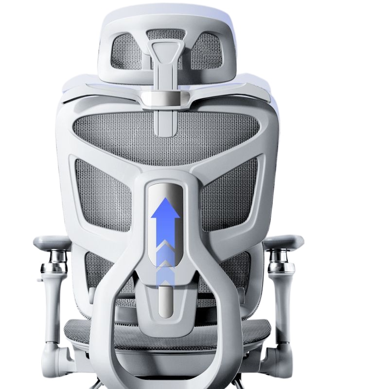 เก้าอี้สำนักงานเพื่อสุขภาพสำหร - Home Office Chair บทวิจารณ์และราคา